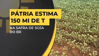 Pátria reduz para 150MI estimativa para safra de soja do BR [upl. by Dde]