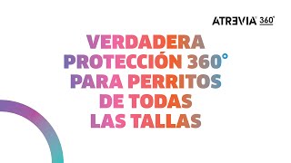 ¡Llegó la verdadera protección 360º que tu engreído merece [upl. by Nanon860]