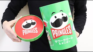 Pringles Piggy Bank in the Big Pringles [upl. by Nlyak854]