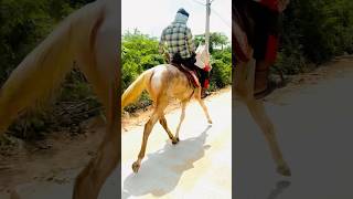 horse riding ।। horse ride ।। horsepower [upl. by Lesh]