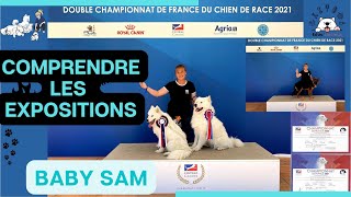 COMPRENDRE les EXPOSITIONS CANINES  Exposition de beauté pour chiens  Les infos clés  Baby Sam [upl. by Corinna918]