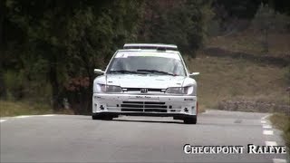 Rallye Draguignan verdon 2013 Es 01  Le Flayosquet  02  Le Muy part 01 [upl. by Esadnac798]