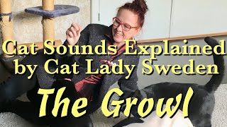 Cat Sounds Explained The Growl [upl. by Dyanna481]