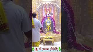 Shree Somnath Mahadev Arti Darshan Morning 4 November 2024 somnath mahadev shorts ytshorts [upl. by Yelsgnik]