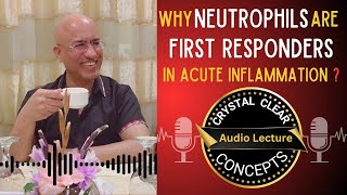 Neutrophils  Cells in Acute Inflammation  Audio Lecture [upl. by Kwok]