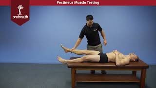 Pectineus Muscle Test Palpation Dr Vizniak Muscle Manual [upl. by Dardani295]