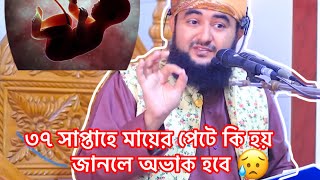 মায়ের পেটে কিভাবে বেড়ে উঠে শিশু।How to grow fetal development। viralvideo [upl. by Zarger238]