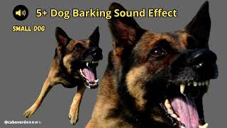 Dog Barking sound effect [upl. by Enilarak]