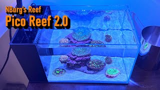 Return of the 35 Gallon Pico Coral Reef [upl. by Ydnic]