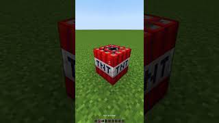 Minecraft TNT vs 1000 Mini TNT🤯もういいよ shorts [upl. by Sokil92]