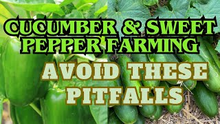 HOW TO GROW CUCUMBER amp PEPPER SUCCESSFULLY [upl. by Annirtak]