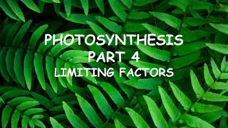 CCEA GCSE Biology Unit 1 Photosynthesis 4 limiting factors [upl. by Hurleigh]