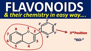 Flavonoids and their chemistry in easy way [upl. by Gelasius788]