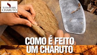 Como é feito um charuto  Tudo Sobre Charuto [upl. by Nnyrat655]