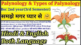 Palynology amp Types of Palynology  Part1 Morphology  परागकण  Bsc 2nd year3rd Semester bsc [upl. by Edrei294]