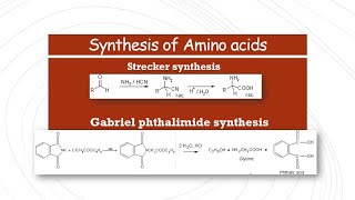 Strecker synthesis and Gabriel phthalimide synthesis  Synthesis of Amino Acids [upl. by Adolphe]