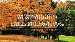 EPIC FALL FOLIAGE 2024 BERKELEY SPRINGS WEST VIRGINIA [upl. by Karlise836]