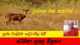 අටමහා කුසල විග්‍රහය  Yowun Daham Sakwala  Ven Welimada Saddaseela Thero [upl. by Notnarb]