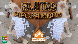 CONOCE NUESTRAS FAJITAS POSTOPERATORIO [upl. by Asusej649]