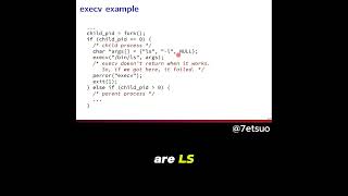 How to Use execv in C to Run Programs in a Forked Process [upl. by Auqined]