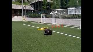 Allenamenti Portiere calcio  25 esercitazioni [upl. by Nahshun]