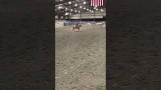 SPAM posting all of my jack pot to rodeo Raws HayHayandHorses [upl. by Rodgiva816]