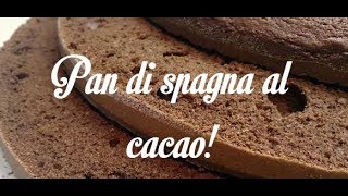 PAN DI SPAGNA AL CACAO ALTO E SOFFICE 4 UOVA [upl. by Akemrej]