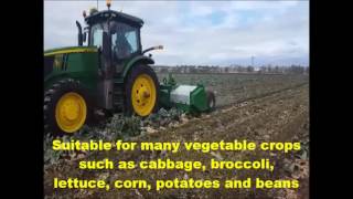 Agrifarm Implements ACM400 Broadacre Mulcher in vegetable remains [upl. by Rramel]