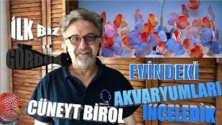 CÜNEYT BİROL  EVİNDEKİ BALIKLARI 4K [upl. by Pirnot]