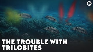 The Trouble With Trilobites [upl. by Sirahc]