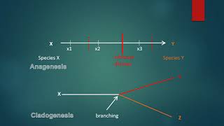 PHYLOGENETICS [upl. by Maletta]