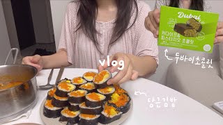 VLOG 당근김밥 공장 가동🥕 두바이초콜릿 막차 다이소 추천템 밥솥 청소 첫브이로그 모니터링하는 신혼부부 일상 브이로그 [upl. by Shevlo]