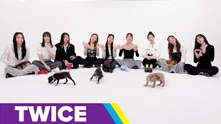 TWICE The Puppy Interview [upl. by Nesto]