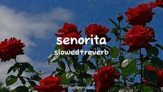 Senorita ★ slowedreverb [upl. by Ornas]