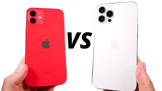 iPhone 12 Pro Vs iPhone 11 Pro Max Comparison Review [upl. by Girhiny242]