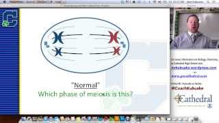 Karyotyping amp Genetic Disorders [upl. by Anelhtak]