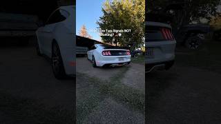 S550 Euro Turn Signals NOT Working 🏎️💨  Mustang Clears [upl. by Kary]