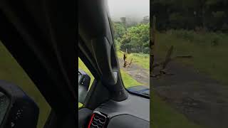 Ford Ranger Raptor 2023 Baja mode crazy off road camera [upl. by Dimah517]