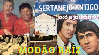 sertanejo 2024 MODÂO SERTANEJO RAÍZ CAIPIRA [upl. by Suolhcin798]