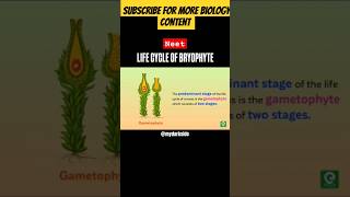 Life Cycle of Bryophyte  Neet 2025  Biology Short lifecycleofbryophyteneetbiologycontentshort [upl. by Colinson]