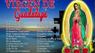 Alabanzas a la Virgen de Guadalupe🙏💐 40 Cantos A La Virgen De Guadalupe [upl. by Garwin495]