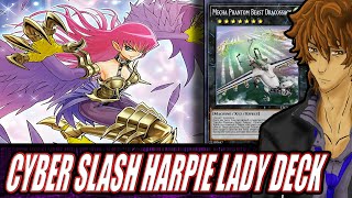 THE NEW CYBER SLASH HARPIE LADY IS AMAZING  YuGiOh Duel Links [upl. by Martina127]