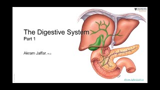 ANAT101028Gastrointestinal digestive system 1 [upl. by Carla]