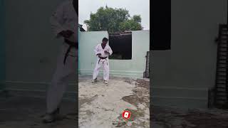 roundhouse kick । step by step tutorial [upl. by Adnohsed106]