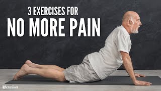 The 3 Best Back Exercises For NO MORE PAIN [upl. by Cerelly]