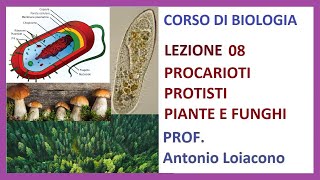 CORSO DI BIOLOGIA  Lezione 08  Procarioti Protisti Piante e Funghi [upl. by Aina978]