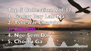 Top 5 Collection Vol 37 Latest Bhutanese Song Updates 2024 [upl. by Noevad]