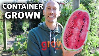 How to Grow WATERMELONS in CONTAINERS Cheap and Easy Patio Gardening [upl. by Padget]