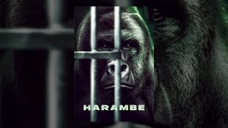 Harambe [upl. by Einhapets736]