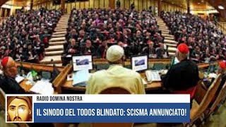 IL SINODO DEL TODOS BLINDATO SCISMA ANNUNCIATO [upl. by Laroy]